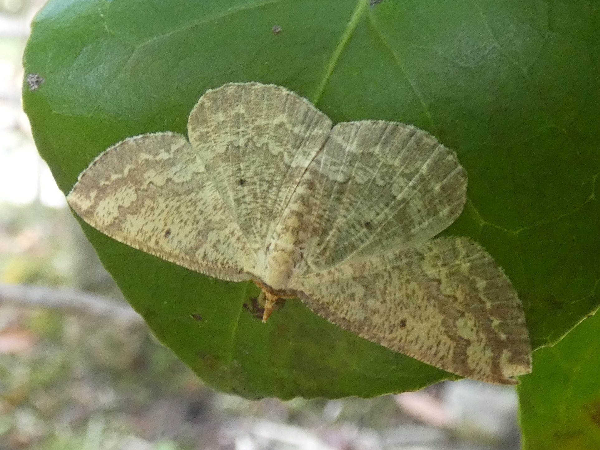 photo_1